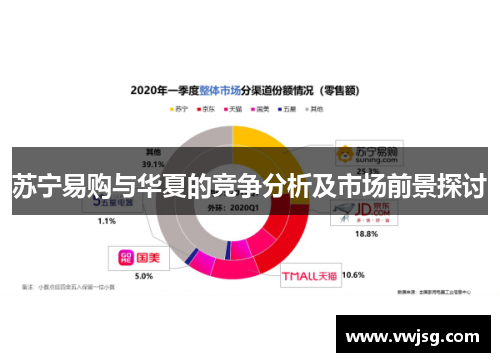 苏宁易购与华夏的竞争分析及市场前景探讨