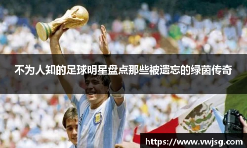 必一运动bsport体育