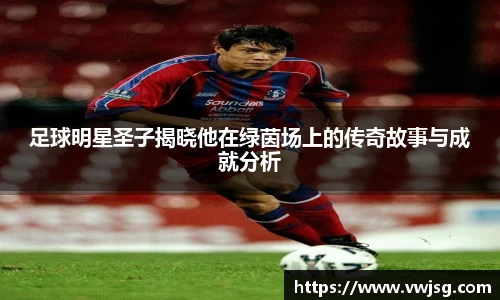 必一运动bsport体育